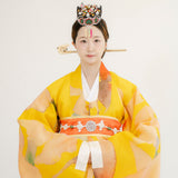Hwarot harmony silk hanbok dress